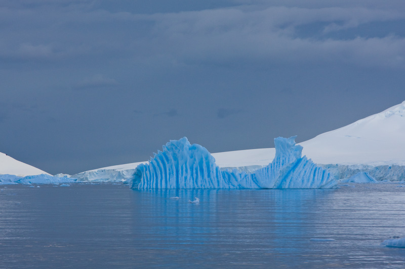 Iceberg